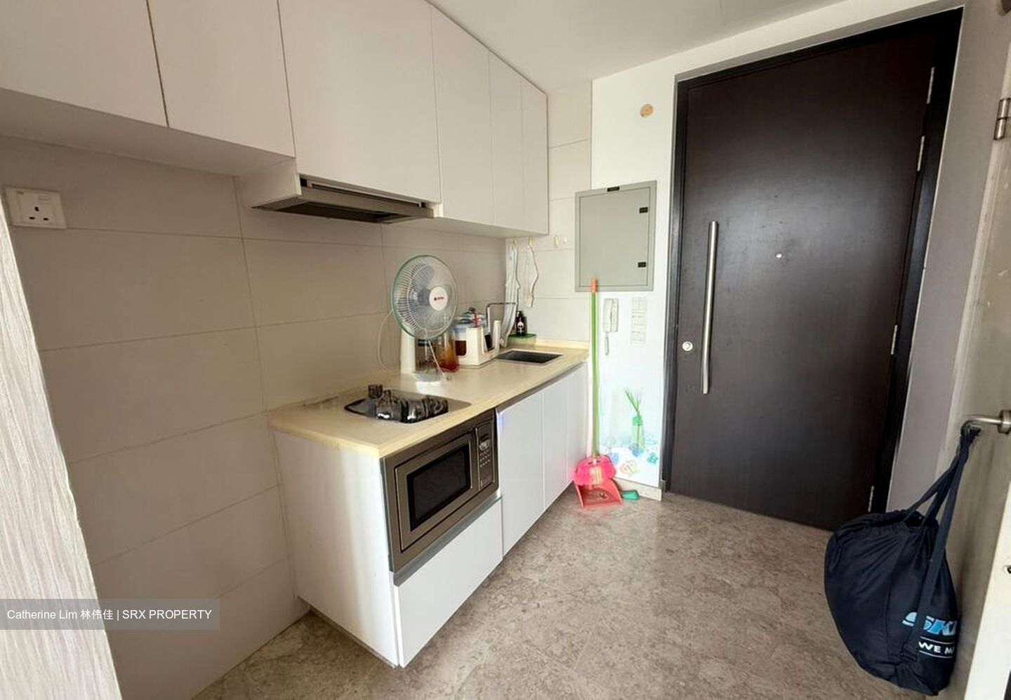 Haig 162 (D15), Apartment #496252641
